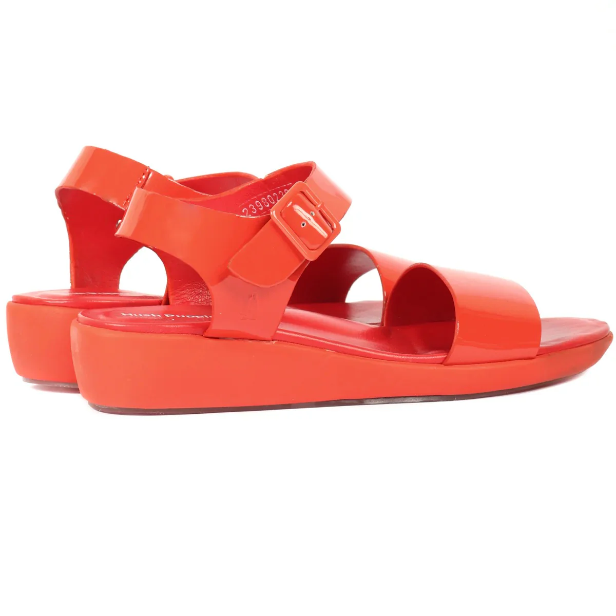BRITE JELLS QTR - Image 11
